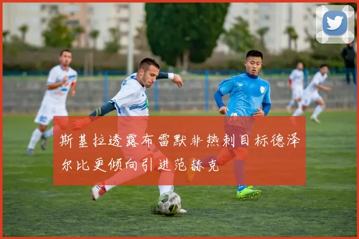 斯基拉透露布雷默非热刺目标德泽尔比更倾向引进范赫克